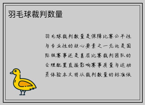 羽毛球裁判数量